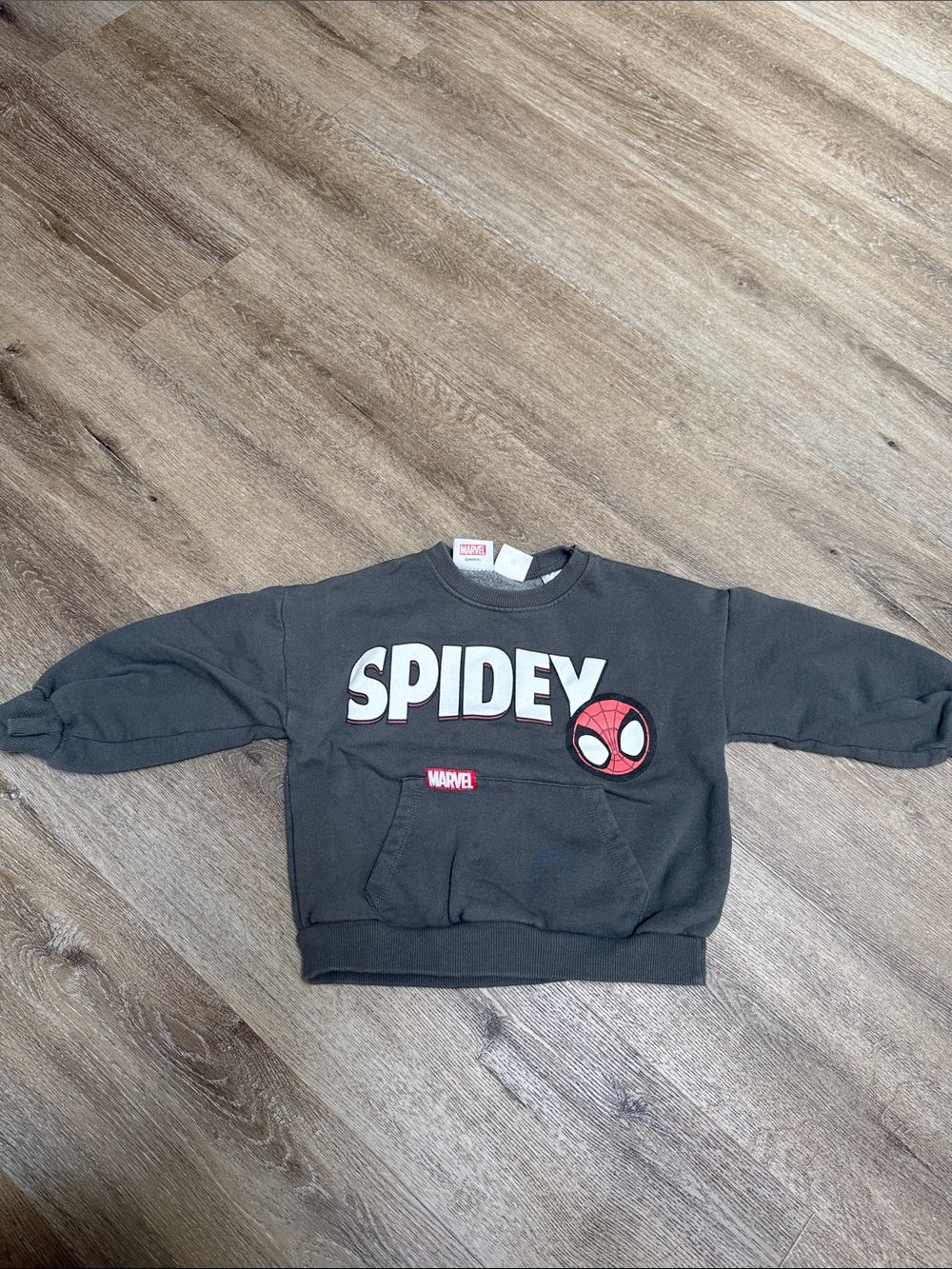 Marvel Kids 'Spidey' Crewneck Sweatshirt - Black with Red Accent